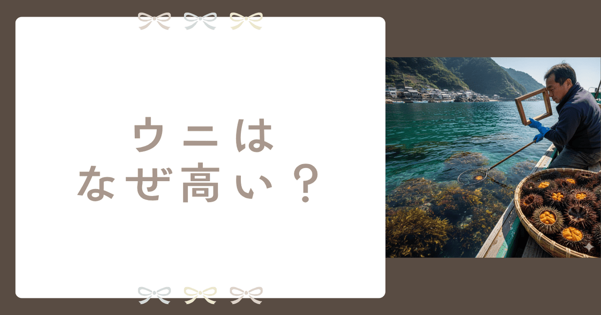 ウニ なぜ高い